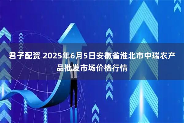 君子配资 2025年6月5日安徽省淮北市中瑞农产品批发市场价格行情