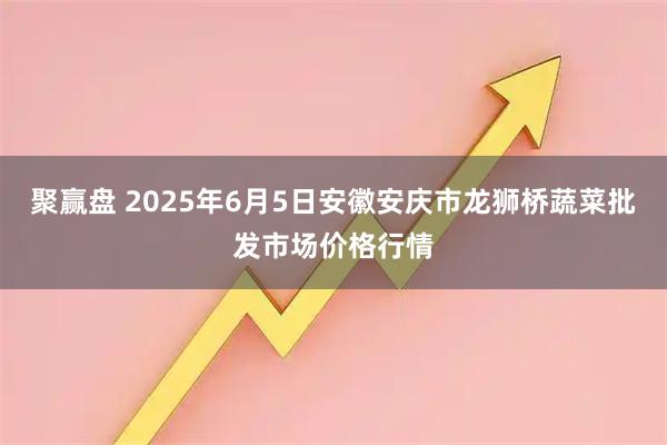 聚赢盘 2025年6月5日安徽安庆市龙狮桥蔬菜批发市场价格行情